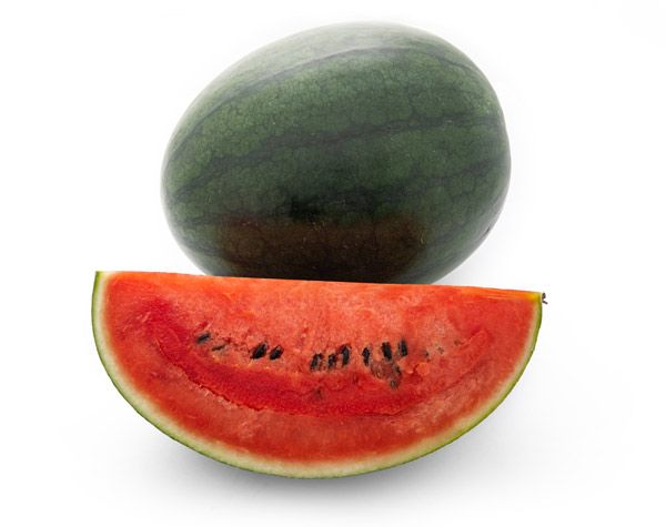 Baby Watermelon from Italy supplied by Granfrutta Zani - Striped Green Rind Fresh Watermelon
