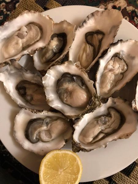 Oyster from United Kingdom supplied by The Caledonian Oyster Company Limited - Whole (=In Shell=Unshucked) Fresh Oyster