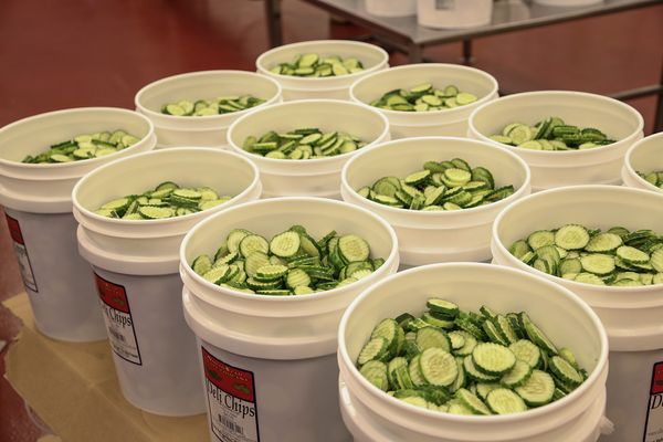 Pickled Cucumber from 미국 supplied by NorthStar Pickle Company - As per customer's request 오이 가공품