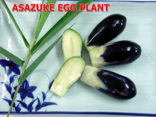 Eggplant from Thailand supplied by Santiphap Trading Company Limited - Purple (=Violet) Eggplant
