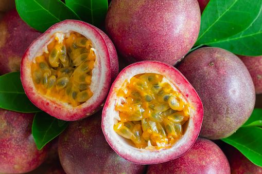 Passionfruit from 콜롬비아 supplied by Heaven´s Fruits - 신선 패션프루트
