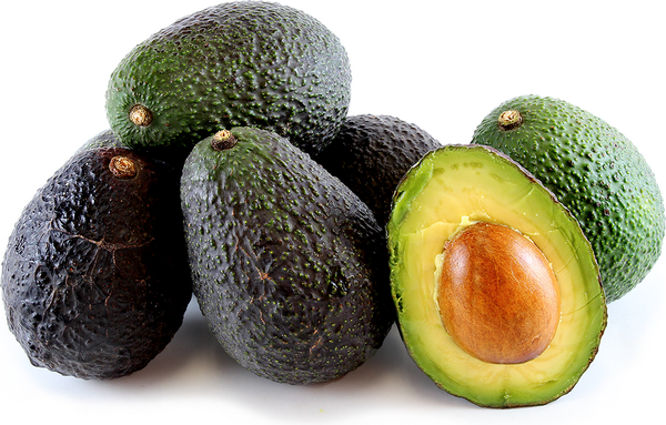Avocado from Peru supplied by Agricola La Guerrero S.A.C. - Zutano Fresh Avocado