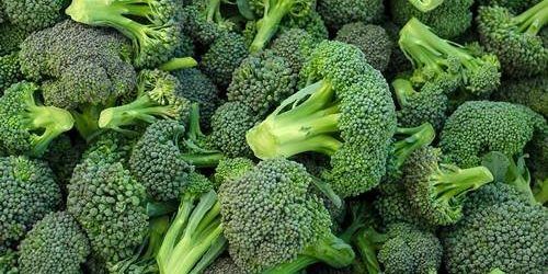 Fresh Broccoli from 우즈베키스탄 supplied by Teodora Goods Company - Green 신선 브로콜리 꽃