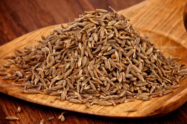 cumin from 이집트 supplied by Bedaya for export & import - 커민 씨