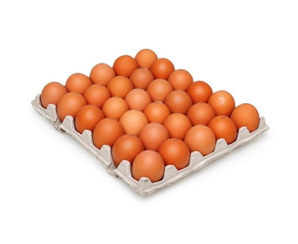 Chicken Eggs from Russia supplied by LLC Poultry farm Smetanino - Raw Chicken Egg
