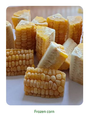 Frozen Corn from China supplied by Shandong Zhongbo Food Co., Ltd. - Frozen Maize (Corn)