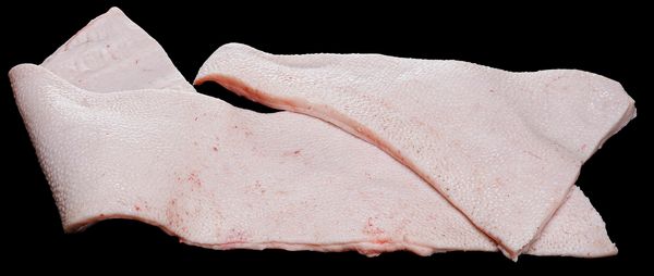 Pork Fat from 스페인 supplied by Costa Food Meat - Hard Fat 돼지고기 지방