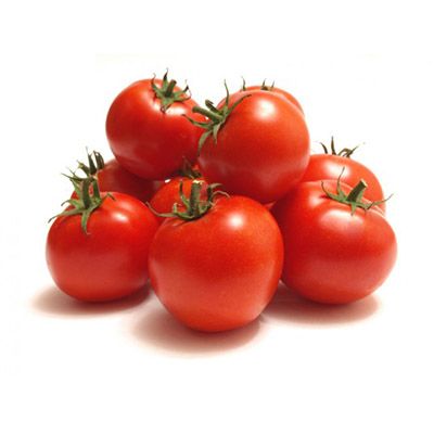 Tomato from 말레이시아 supplied by Publika Vege Distribution - Red 신선 토마토