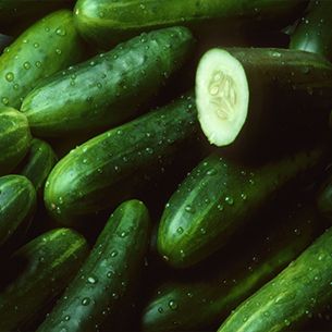 Cucumber from 도미니카공화국 supplied by Cosmos 2000 Internacional S A - Whole 신선 오이