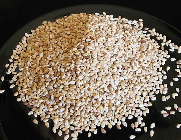 Sesame from 탄자니아 supplied by Mvungi Corporate Limited - 생 참깨