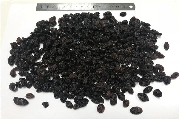 Raisin from United States supplied by Wosune International Inc. - Dried Raisin (Dried Grape)