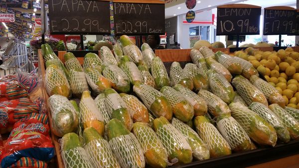 Papaya from 대만 supplied by Yu He Integrated Fine Agriculture Co., Ltd - Whole 신선 파파야