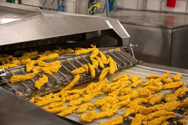Catfish from 미국 supplied by Consolidated Catfish Companies, LLC - Nuggets 냉동 메기 통마리