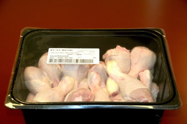 Chicken from 벨기에 supplied by Nollens - Halal 냉동 미절단 닭고기