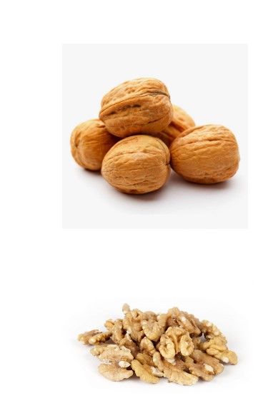 Walnut from 폴란드 supplied by MARKIE-POL sp. z o. o. sp. komandytowa. - In-shell 생호두