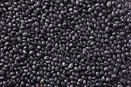 Black Beans from United States supplied by AGT Food and Ingredients - Whole Black Bean