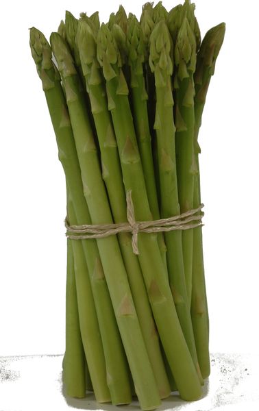 Fresh Asparagus from 스페인 supplied by Exofi - Cut 신선 아스파라거스