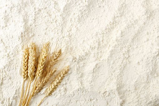 wheat flour from Belgium supplied by LES QUATRE SAISONS - Organic Wheat Flour