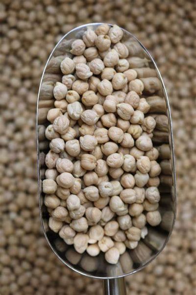 Chickpea from 이집트 supplied by Maviga Europe Ltd - Kabuli 말린 병아리콩