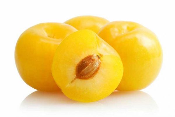 Fresh Whole Plum from Spain supplied by ONE NATURE FRUITS, S.L. - Carton Box - Open Top Fresh Plum