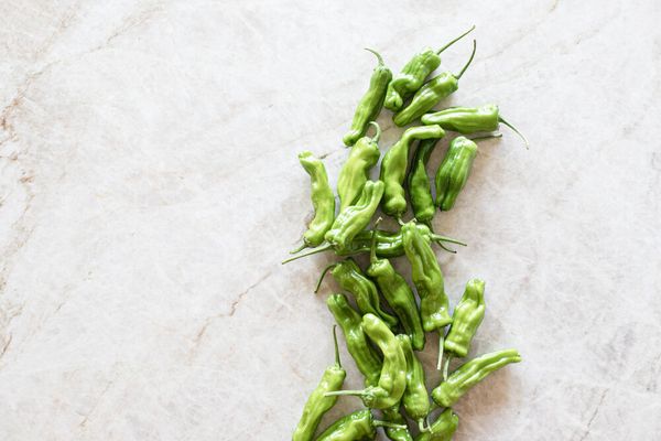 Shishito Peppers from 미국 supplied by J. Marchini Farms - Shishito 기타 피망