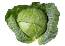 Cabbage from 캐나다 supplied by Bradford & District Produce Ltd - 녹색 양배추 신선 양배추