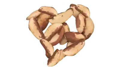 Brazil Nut from United States supplied by Naturkost USA Inc. - Whole Brazil Nut Kernel