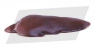 Beef (Liver) from 브라질 supplied by Cooperfrigu - Offal - Liver 내장