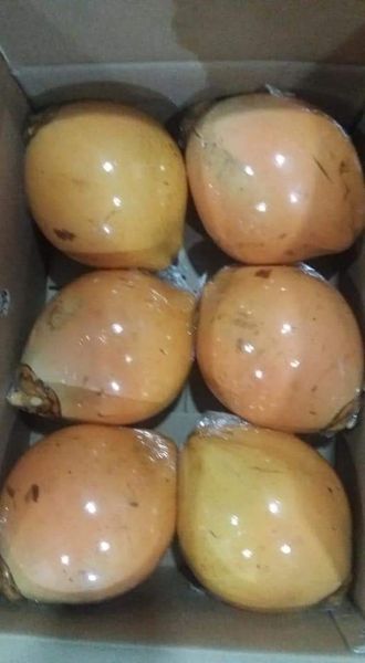 King Coconut Nuts from Sri Lanka supplied by DEESAN LANKA - Fresh (=Chilled) Other Fresh Fruits