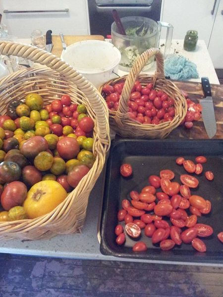 Tomatoes from Australia supplied by Buronga Organics - Red Fresh Tomato