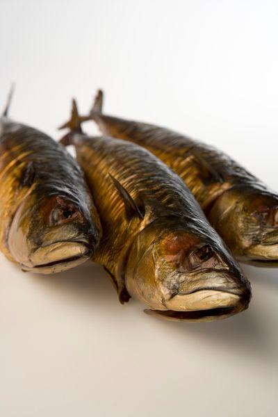 Smoked Mackerel from 벨기에 supplied by Blue Ocean Seafood - Smoked 훈제 고등어