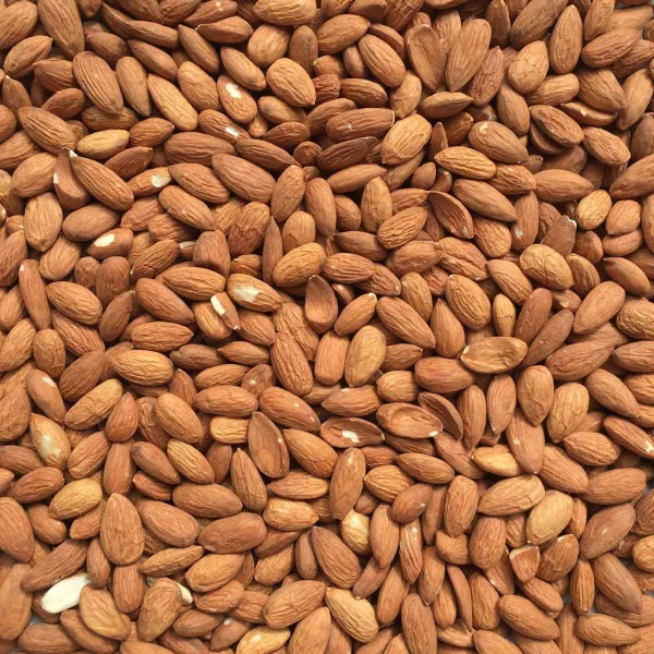 Almond from United States supplied by Sran Family Orchards, Inc. - Brown Almond Kernel