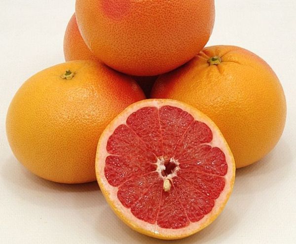 Grapefruit from 튀르키예 supplied by OZLER TARIM URUNLERI URETIM PAZARLAMA SAN. TIC. A.S. - Seedless 신선 자몽