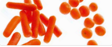 Baby Carrots from 벨기에 supplied by PASFROST - Baby Carrot 신선 당근