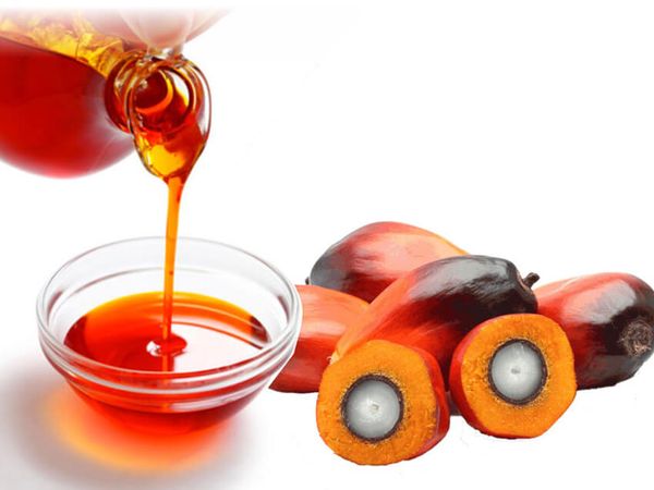 Refined Palm Kernel Oil from United States supplied by Alnor Oil Company - Refined Palm Kernel Oil