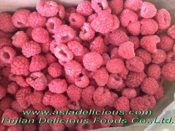IQF Raspberry Whole from China supplied by Delightful China Food Co., Ltd. - Willamette Raspberries Fresh Raspberry