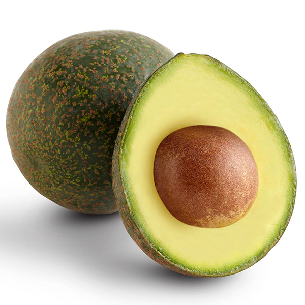 Fresh Reed Avocado from 스페인 supplied by Frutas Los Cursos - Reed 신선 아보카도