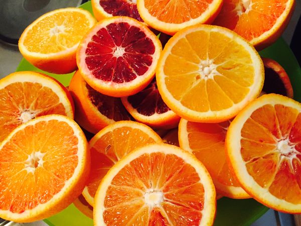 Citrus from 남아프리카공화국 supplied by Acorn Agri & Food - Fresh (=Chilled) 신선 감귤류 혼종