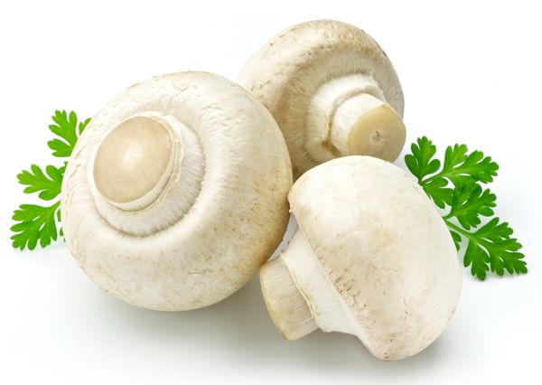 Mushroom from 폴란드 supplied by PMARK Mariusz Kania - Plastic Punnets (=Clamshells) 기타 신선 버섯류