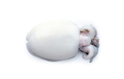 Cuttle Fish Whole Clean from Malaysia supplied by Magna Wave Sdn. Bhd. - Frozen Frozen Cuttlefish