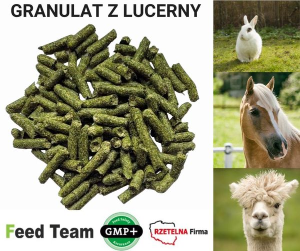 alfalfa from 폴란드 supplied by FeedTeam Sp. z o.o. - Green 알팔파
