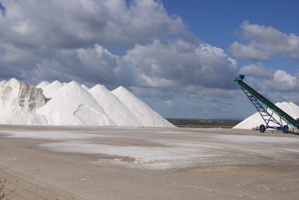 Sel brut from Tunisia supplied by STE TUNEX - Excellent Quality Salt
