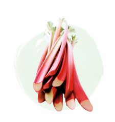 Rhubarb from 미국 supplied by Dragonberry/Townsend Farms - Fresh (=Chilled) 루바브