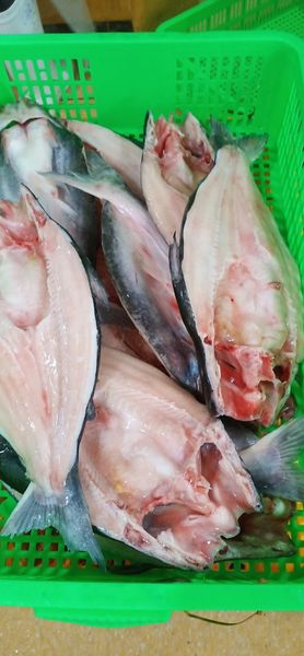 Frozen Pangasius Butterlfy from 베트남 supplied by TH Foodstuff Company - As per customer's request 기타 수산물 가공품