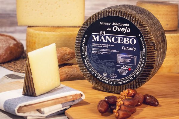 Sheep Milk Cheese from 스페인 supplied by LORDI SA - Pasteurized 기타 치즈