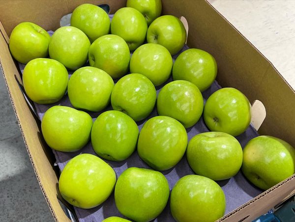 Granny Smith Apple from 칠레 supplied by El Torreon Export Ltda. - Granny Smith 신선 사과