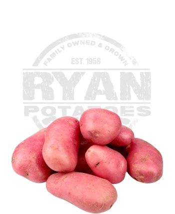 Laura from 호주 supplied by Ryan Potatoes - With Skin 신선 일반 감자