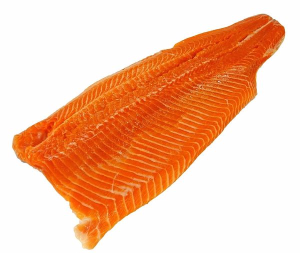 Trout from Chile supplied by Cermaq Chile - Boneless (=Without Bone=Deboned) Frozen Trout