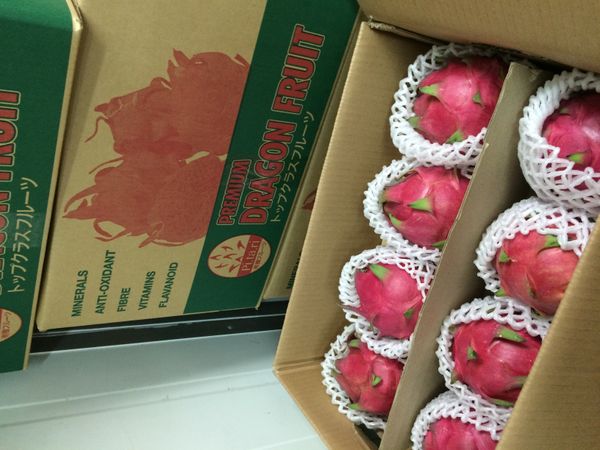 FRESH RED, WHITE DRAGON FRUIT from Malaysia supplied by TRL South East Asia Sdn Bhd - Red Flesh Fresh Dragon Fruit