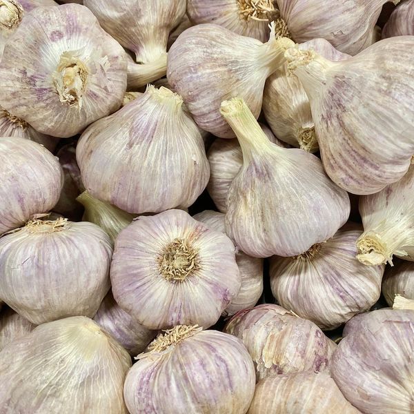Garlic from 호주 supplied by Moon Rocks - Whole 신선 마늘